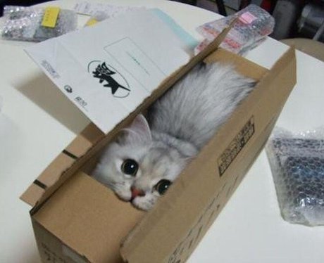 Cutest Pictures Of The Week - 30 April 2014