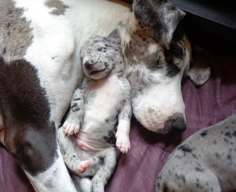 Cutest Pictures Of The Week - 30 April 2014