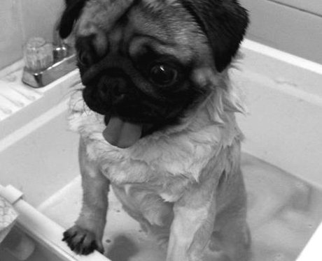 Cutest Pictures Of The Week - 30 April 2014