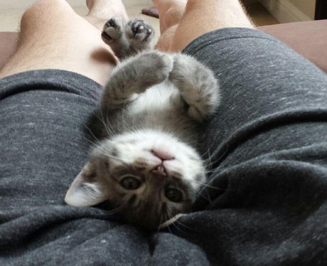 Cutest Pictures Of The Week - 30 April 2014