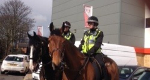 police horses