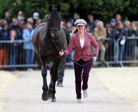 Badminton 2014