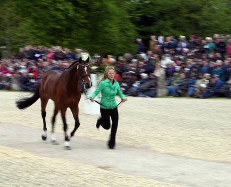 Badminton 2014