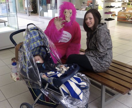 Race for Life - Four Counties