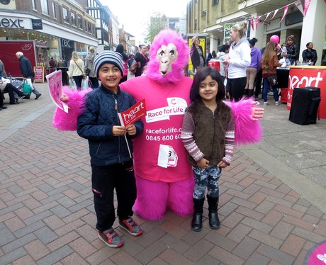 Race for Life - Four Counties