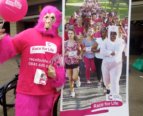 Race for Life - Four Counties