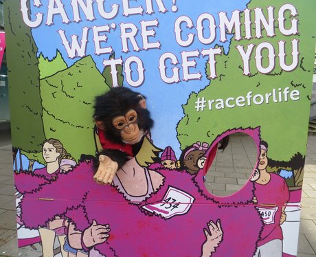 Race for Life - Four Counties