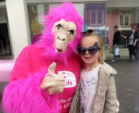 Race for Life - Four Counties
