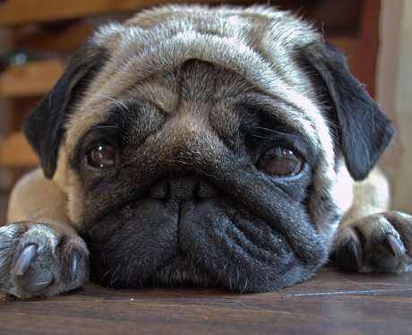 Cutest Pictures Of The Week - 14 May 2014