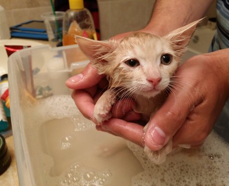 Cutest Pictures Of The Week - 14 May 2014