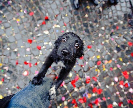Cutest Pictures Of The Week - 14 May 2014