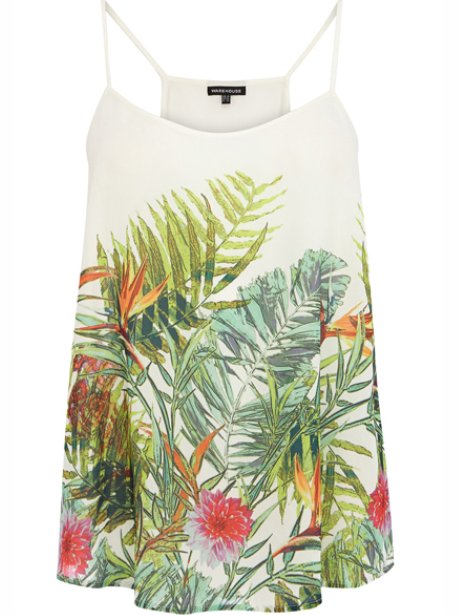 palm tree top