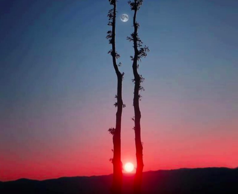 The sun and the moon captured in one photograph