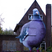 Image 6: A giant pigeon mural on a house