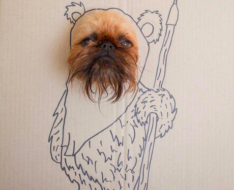 A dog's head in a drawing