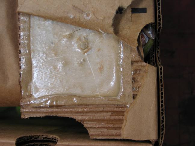 Cocaine seized in Portsmouth