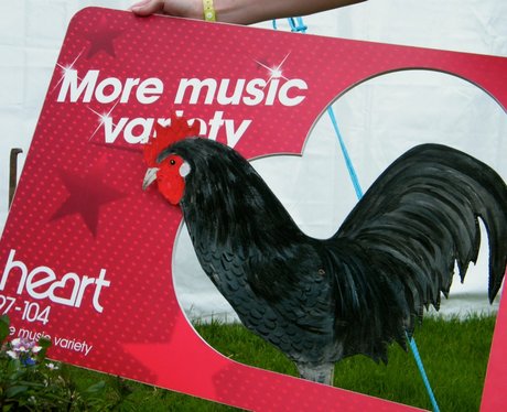 The Heart Angels had a great day at the South of E