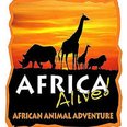 AFRICA ALIVE  