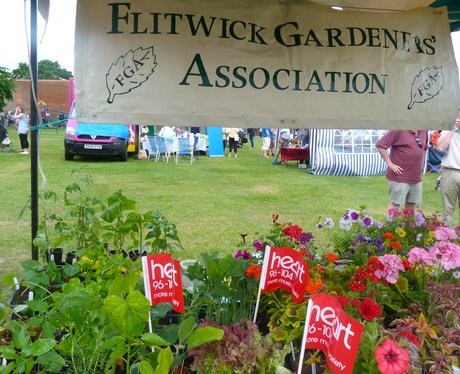 Flitwick Carnival