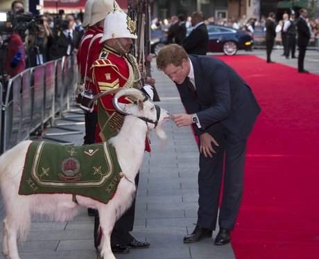 Prince Harry and Goat attend film premiere