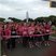 Image 1: Heart Angels: Folkestone Race For Life - The Race 