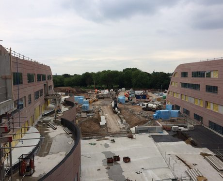 Alder Hey