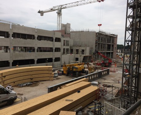 Alder Hey