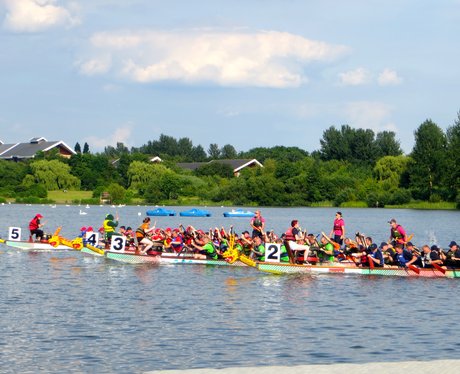 Dragon Boat Race 2014