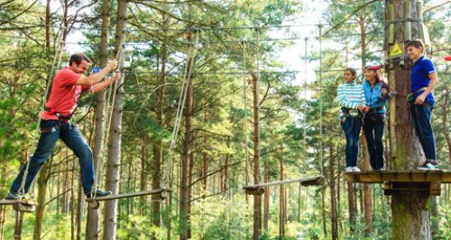 VisitScotland - Go Ape!