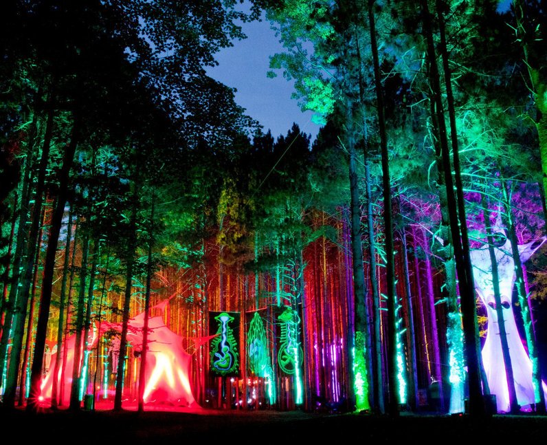 5. No need for a flashlight! Stunning photos show Electric Forest Music  Festival -... - Heart