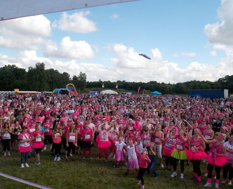 Coventry: Pink Ladies