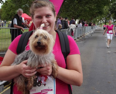 Heart Angels: Bristol Race For Life - The Finisher