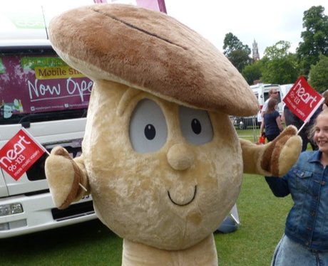 Heart Angels: Colchester Food and Drink Festival (