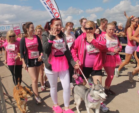 Race for Life Cheltenham - The Happy Dogs 2014