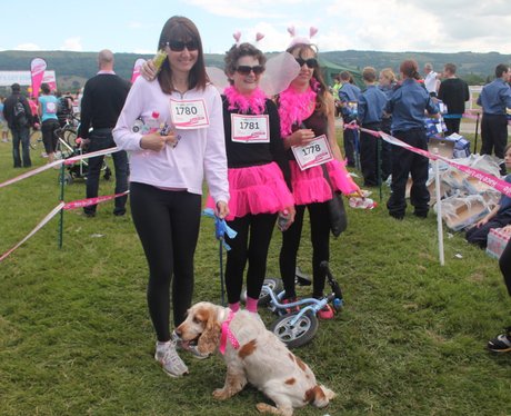 Race for Life Cheltenham - The Happy Dogs 2014