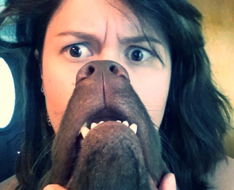 Weird And Wonderful Pictures Of The Week