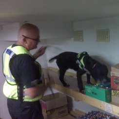 Wisbech Cigarette Raids