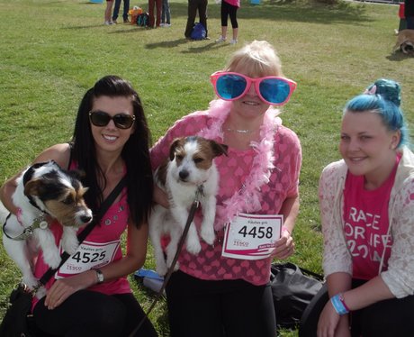 Heart Angels: Bristol Race For Life - The Ladies (