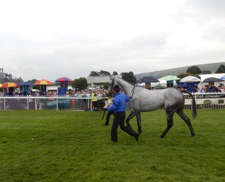 Heart Angels at Cartmel Race Course
