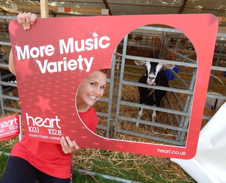 Heart Angels: Kent County Show - Part Two (13th Ju