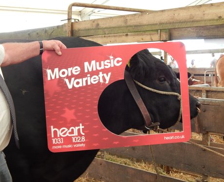 Heart Angels: Kent County Show - Part Two (13th Ju