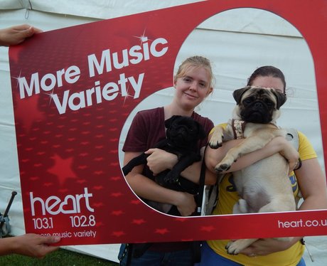 Heart Angels: Kent County Show - Part Two (13th Ju