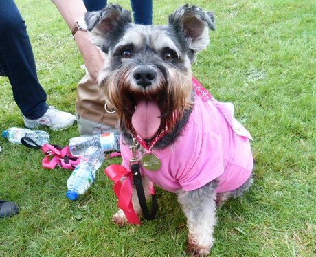 Heart Angels: Maidstone Race For Life 5k - The Med