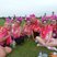 Image 3: Heart Angels: Race For Life Epping Part 1 (16 July