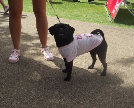 See all your photos from today's Race For Life in