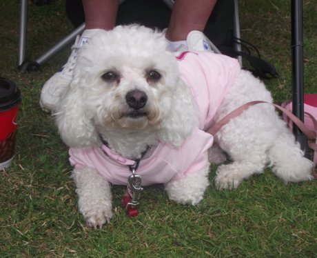 See all your photos from today's Race For Life in