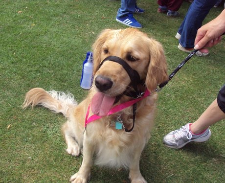 See all your photos from today's Race For Life in
