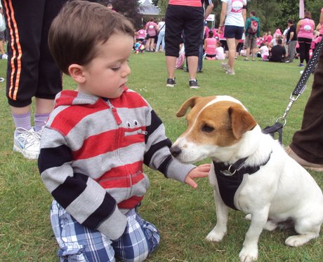 See all your photos from today's Race For Life in