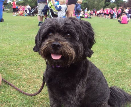 See all your photos from today's Race For Life in