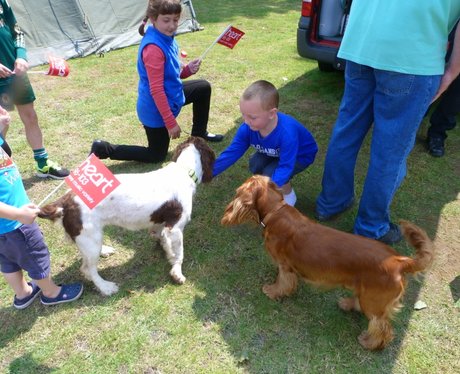 Heart Angels: Rayleigh Fire Station Open Day (12 J